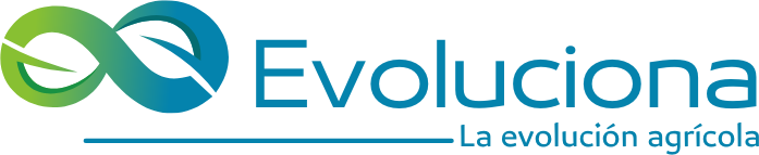 Evoluciona - Estabilidad Organizacional