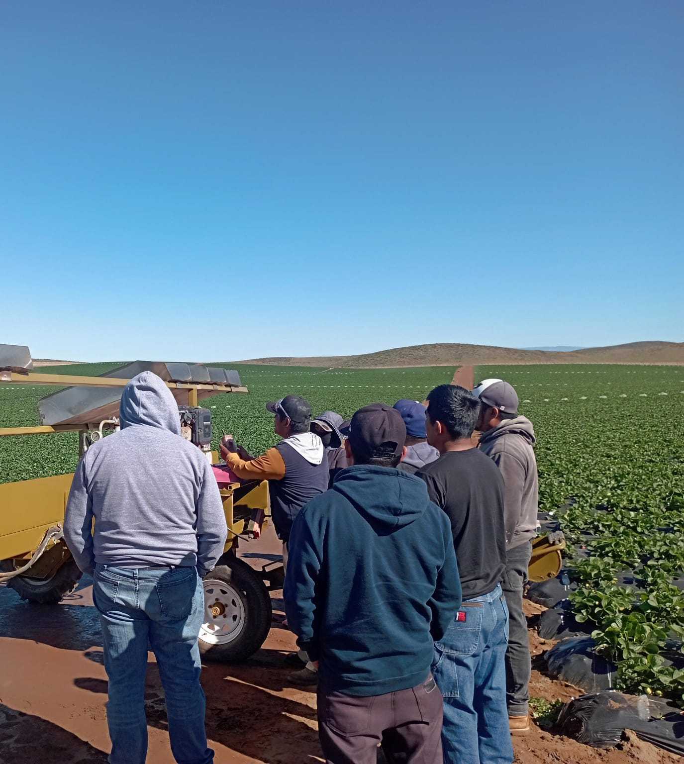 Equipo agrícola en campo recibiendo seguimiento operativo junto a la maquinaria de cosecha.